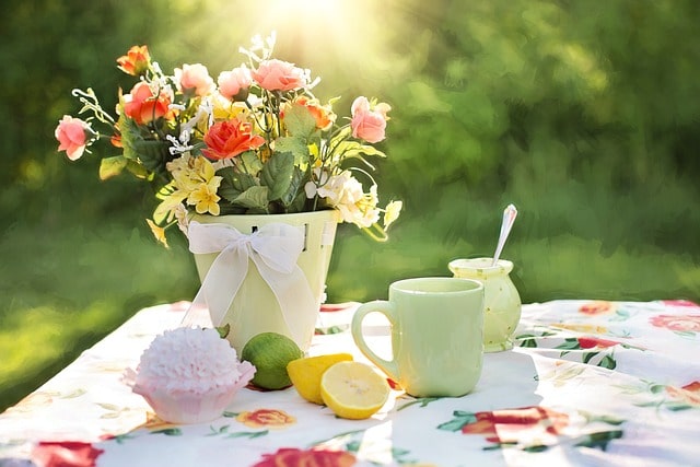 Garten im Sommer